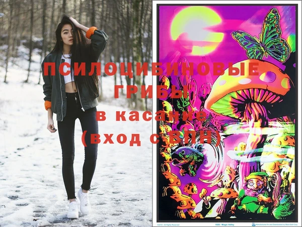 прущие грибы Алзамай