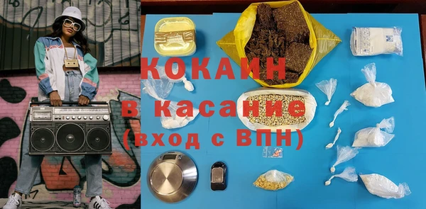прущие грибы Алзамай