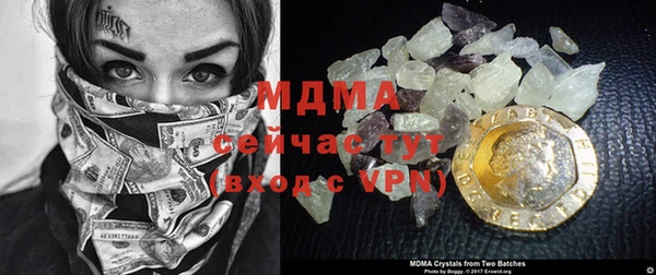 прущие грибы Алзамай
