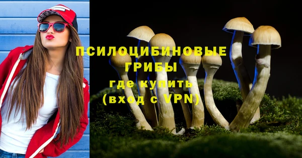 прущие грибы Алзамай