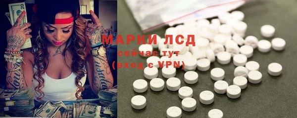 прущие грибы Алзамай