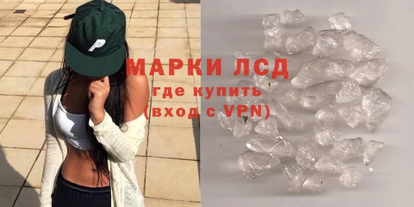 прущие грибы Алзамай