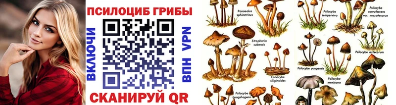 Псилоцибиновые грибы GOLDEN TEACHER  Дно 